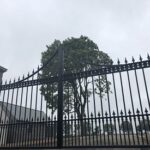 Large entrance gates at stud farm - main gates - black steel very ornate. Arrows and swirls decorating.
