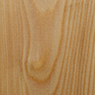Siberian Larch
